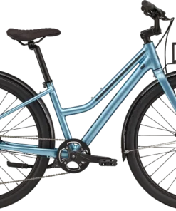 Cannondale Treadwell EQP Remixte 2021 Damen Urbanbike - Alpine | Komfort & Style