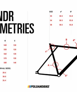 Polo&Bike CMNDR 2021 Komplettrad - Orange | Fixie / Singlespeed | Hochwertiges Design -Fahrradts Verkaufsladen POLOANDBIKE CMNDR Geometries 1