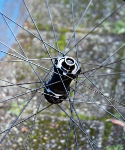 SYNCROS RP2.0 DISC Laufradsatz - Hochwertige Laufräder für optimale Performance -Fahrradts Verkaufsladen Syncross wheels RR2 silver 4