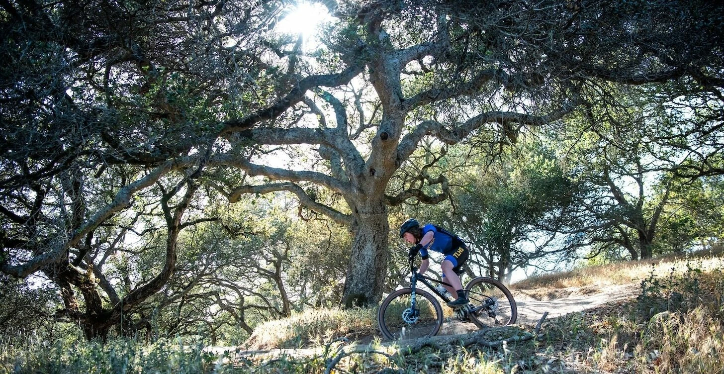 Marin TEAM MARIN 2 MTB Schwarz - XT 12-fach mit Dropper Post | Kompletträder MTB 8 Marin TEAM MARIN 2 MTB Schwarz - XT 12-fach mit Dropper Post | Kompletträder MTB – Bild 8