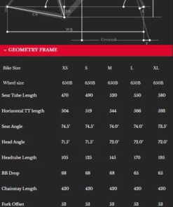 Bombtrack AUDAX Stahl Gravel 650b - Shimano 2x11 | Gravelbike für Abenteuer -Fahrradts Verkaufsladen bt audax geometrie