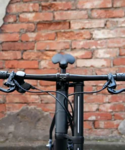 Cannondale Bad Boy 1 -2022- Riemenantrieb | Herrenräder/Kompletträder -Fahrradts Verkaufsladen cannondale badboy1 13