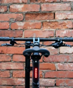 Cannondale Bad Boy 1 -2022- Riemenantrieb | Herrenräder/Kompletträder -Fahrradts Verkaufsladen cannondale badboy1 17