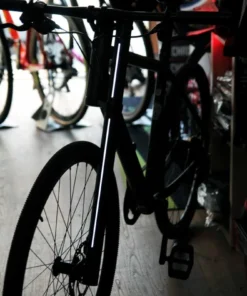 Cannondale Bad Boy 1 -2022- Riemenantrieb | Herrenräder/Kompletträder -Fahrradts Verkaufsladen cannondale badboy1 18