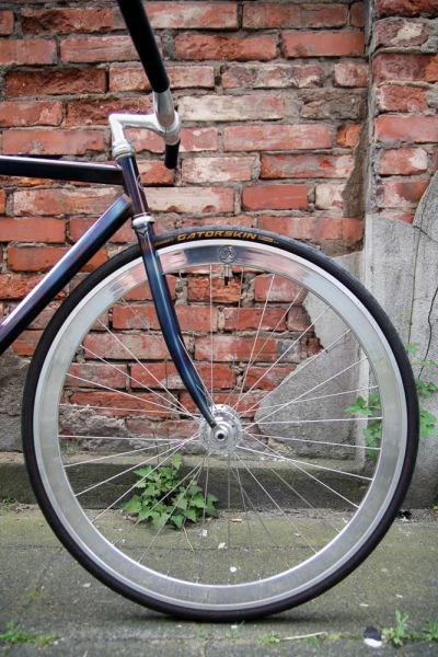 Continental GatorSkin Kevlar PolyX Breaker Drahtreifen - Hochleistungs-Fahrradreifen für Straßen 2 Continental GatorSkin Kevlar PolyX Breaker Drahtreifen - Hochleistungs-Fahrradreifen für Straßen – Bild 2