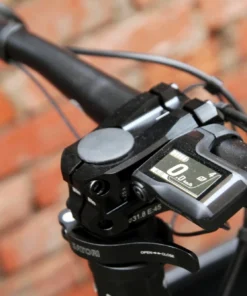 Larry Vs Harry EBullitt Shimano STePS EP8 XT Di2 - Lastenrad - Lizzard King -Fahrradts Verkaufsladen eBullitt EP8 Lizzard 7