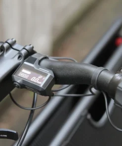 Muli Cycles "st" Nexus5 Nabenschaltung Schwarz - Kompletträder/Lastenrad -Fahrradts Verkaufsladen eMuli ST muli 10