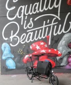 Muli Cycles "st" Nexus5 Nabenschaltung Schwarz - Kompletträder/Lastenrad -Fahrradts Verkaufsladen eMuli ST muli 2