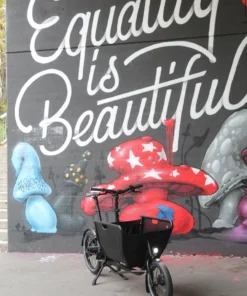 Fahrradts Verkaufsladen -Fahrradts Verkaufsladen eMuli ST muli 3